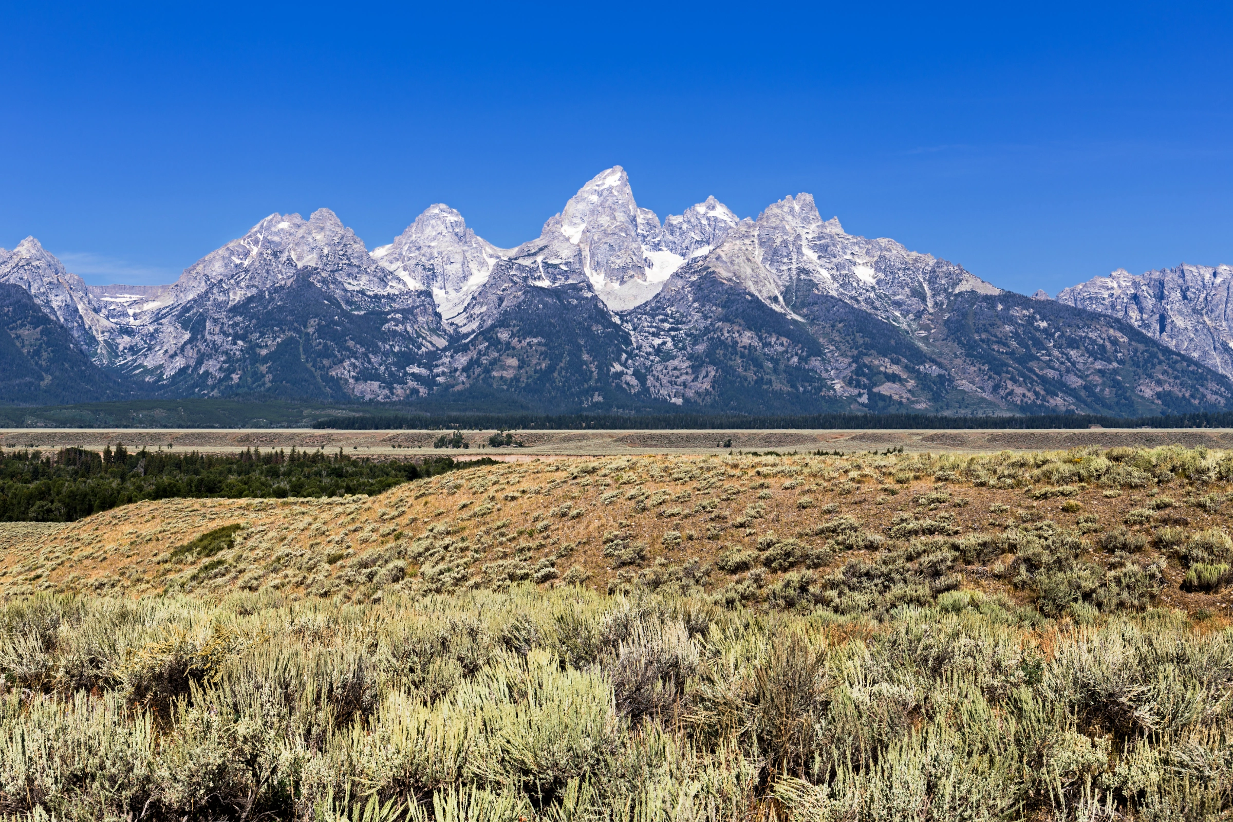 Jackson,_Grand_Teton_National_Park,_Wyoming[1].webp